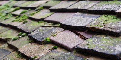 Bedminster roof repair costs